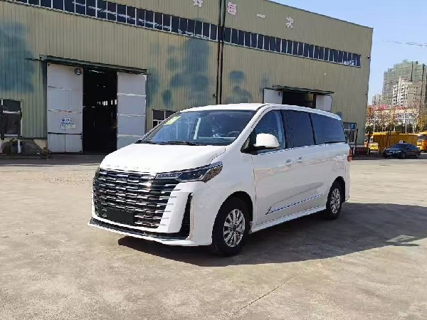 大通G10 自动挡检测车（商务版）
