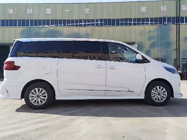 大通G10 自动挡检测车（商务版）